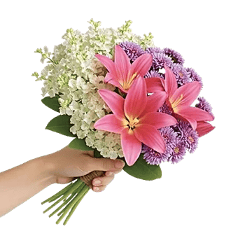 Ivory Blossom Radiance