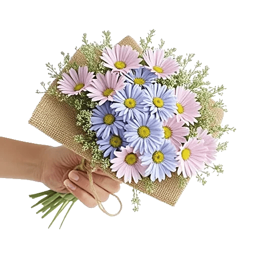 Fresh Meadow Blooms