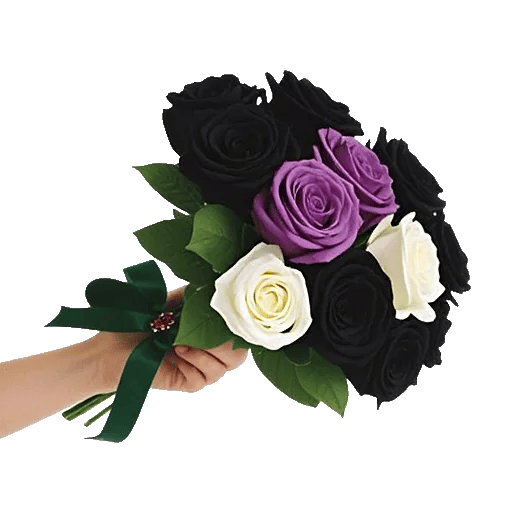 Crimson Rose Elegance