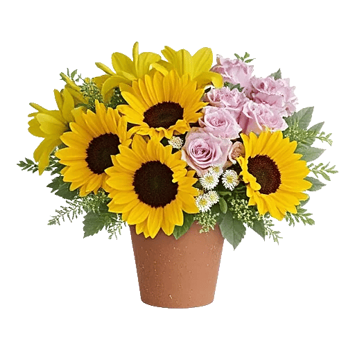 Radiant Bloom Cascade