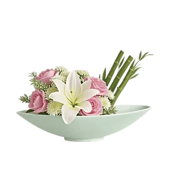 Ivory Blossom Radiance