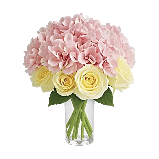 Ivory Blossom Radiance