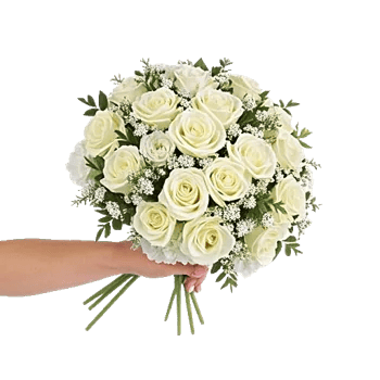Ivory Garden Grace