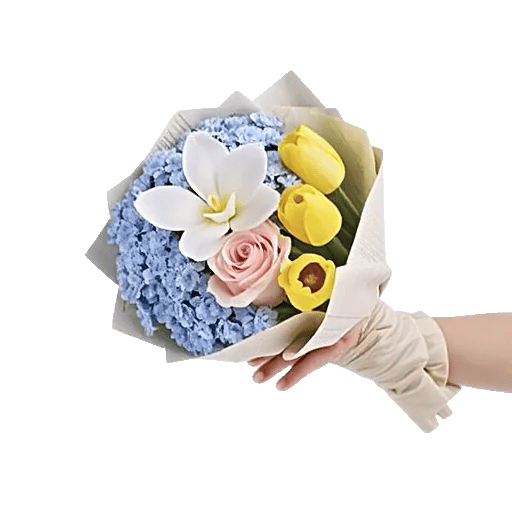 Serene Petal Harmony