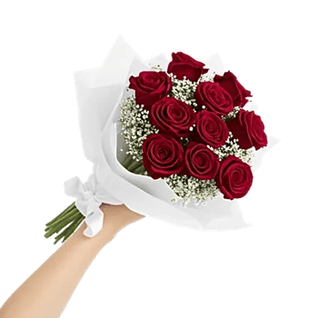 Crimson Rose Elegance