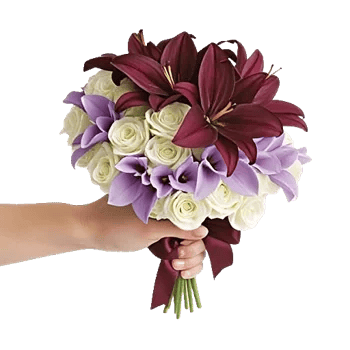 Elegant Calla Lilies