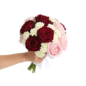 Blushing Rose Symphony