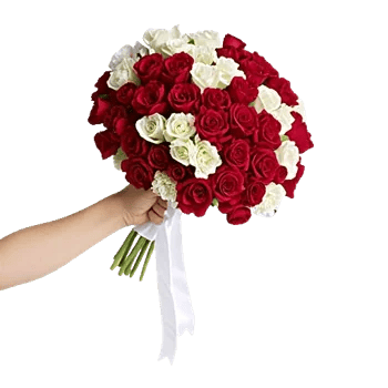 Delicate Petal Cascade