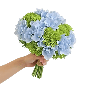 Serene Garden Harmony