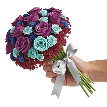 Crimson Rose Elegance