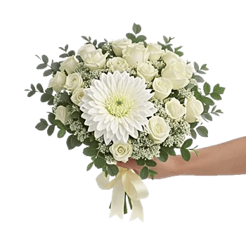 Ivory Garden Grace