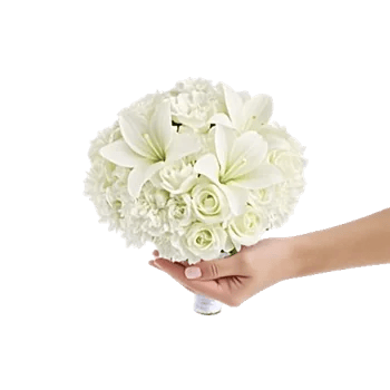 Ivory Garden Grace