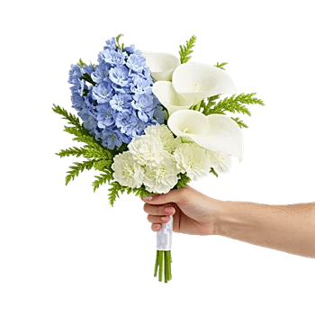 Serenity Blossom Grace