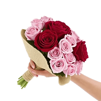 Crimson Rose Elegance