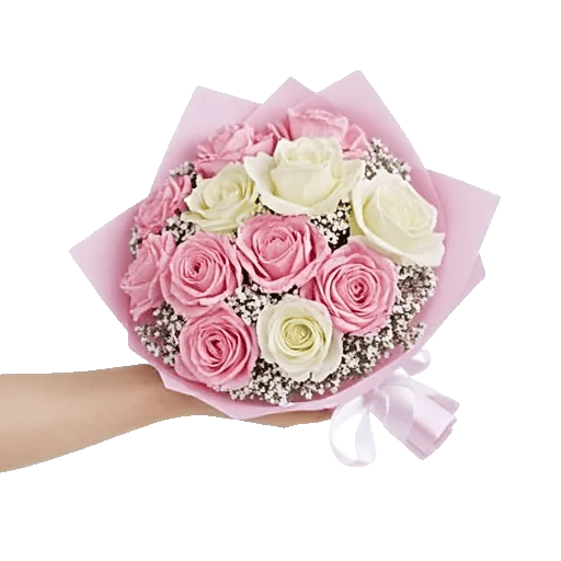 Pastel Pink Roses