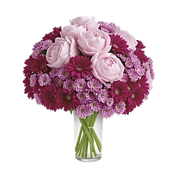 Petal Radiance Bliss