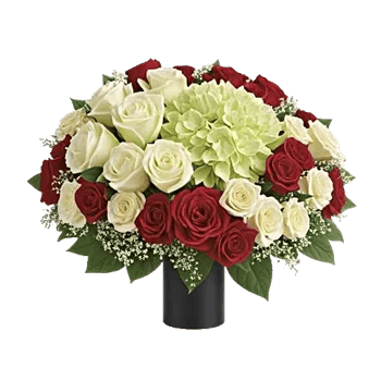 Ivory Blossom Radiance