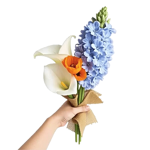 Elegant Calla Lilies