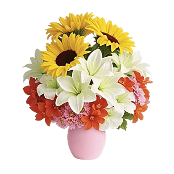 Petal Radiance Bliss