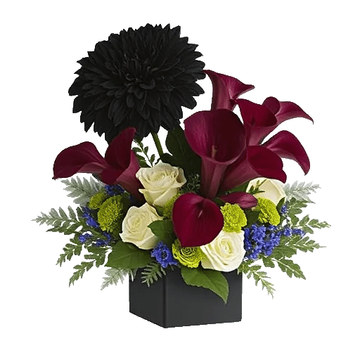 Elegant Calla Lilies