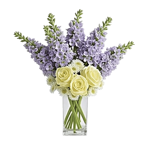 Lavender Bloom Grace
