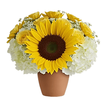 Amber Sunflower Glow