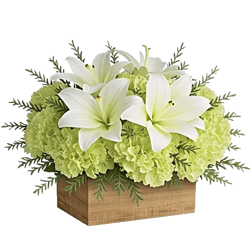 Graceful Lily Display