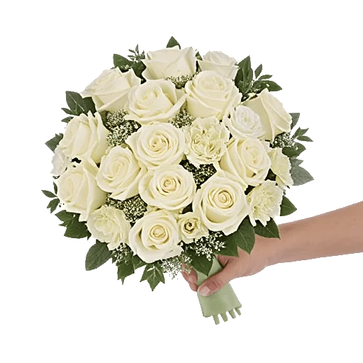 Ivory Garden Grace