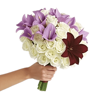 Elegant Calla Lilies