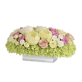 Ivory Blossom Radiance