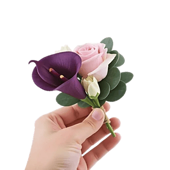 Elegant Calla Lilies