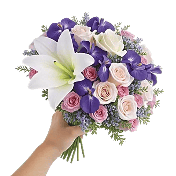Ivory Garden Grace