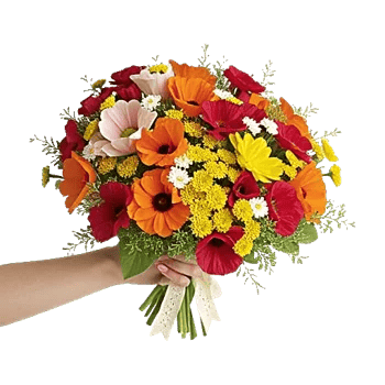 Blossom Harmony Display