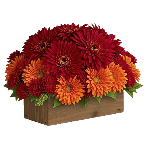 Deep Red Blossoms