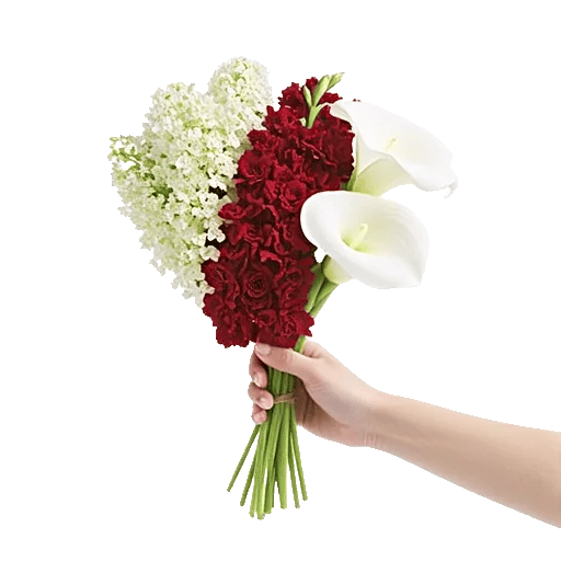 Elegant Calla Lilies