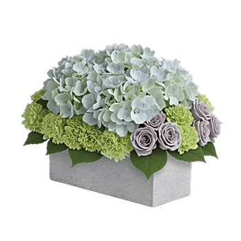 Serene Garden Harmony
