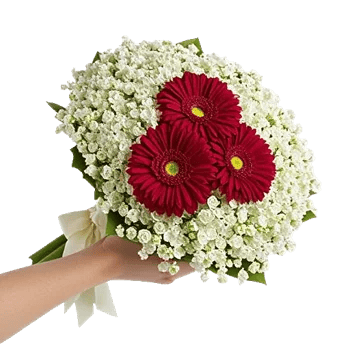 Blossom Harmony Display