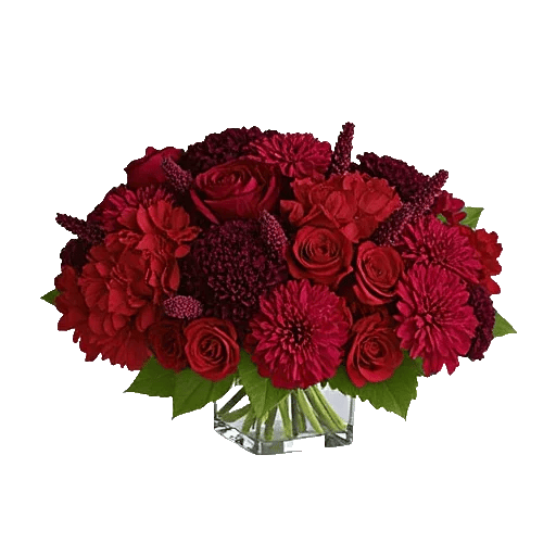 Petal Radiance Bliss