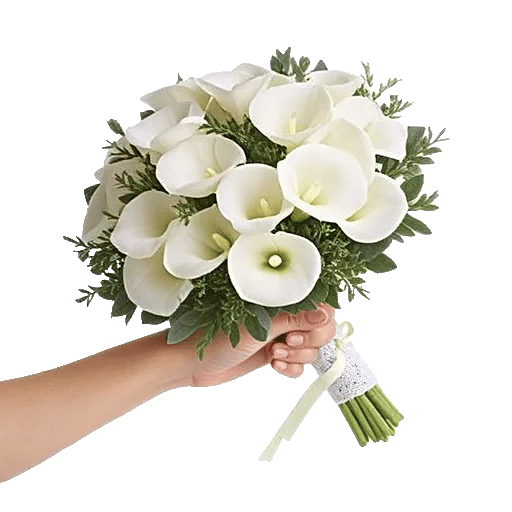 Elegant Calla Lilies