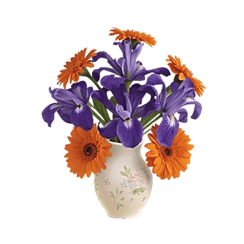 Ivory Blossom Radiance