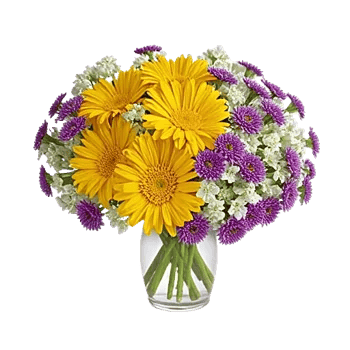 Radiant Bloom Cascade