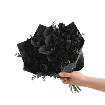Elegant Calla Lilies
