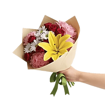 Blossom Harmony Display