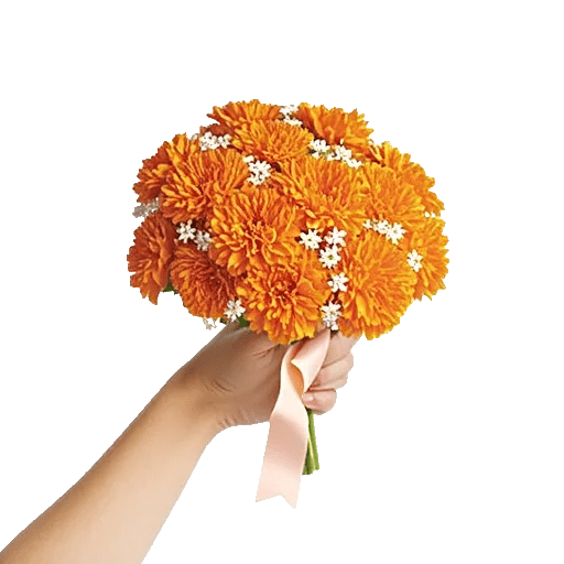 Petal Harmony Bliss