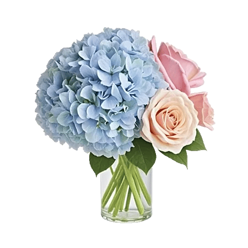 Serene Petal Harmony