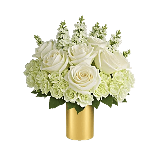 Ivory Blossom Radiance