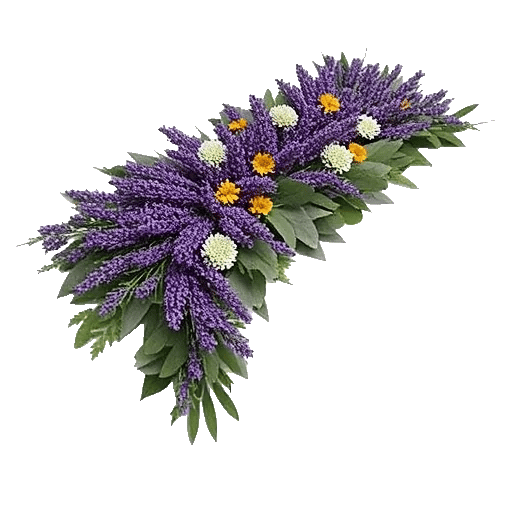 Lavender Bloom Grace