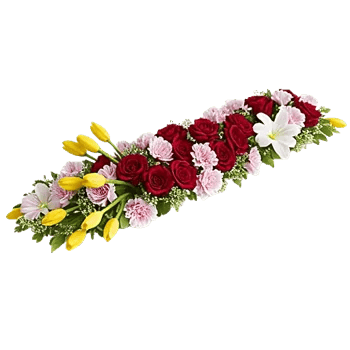 Delicate Petal Cascade
