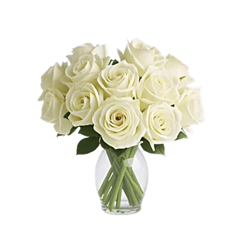 Ivory Blossom Radiance