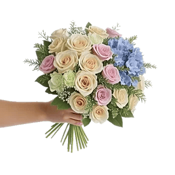 Blossom Petal Serenity